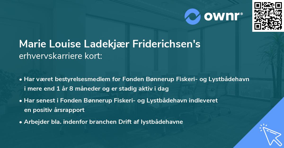 Marie Louise Ladekjær Friderichsen's erhvervskarriere kort