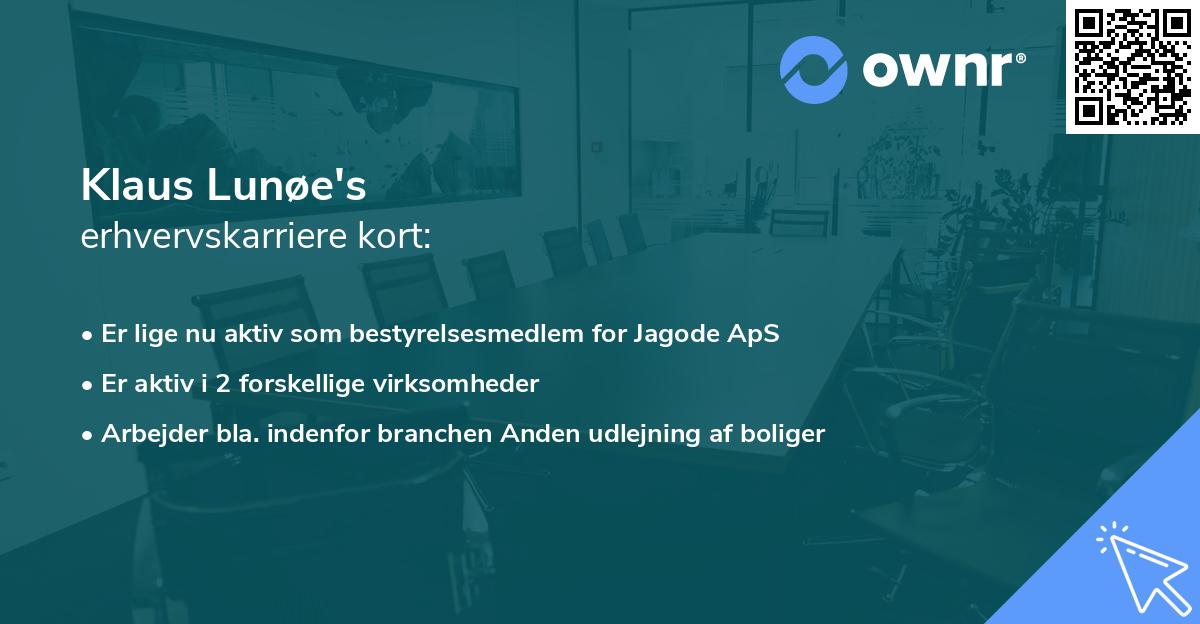 Klaus Lunøe's erhvervskarriere kort