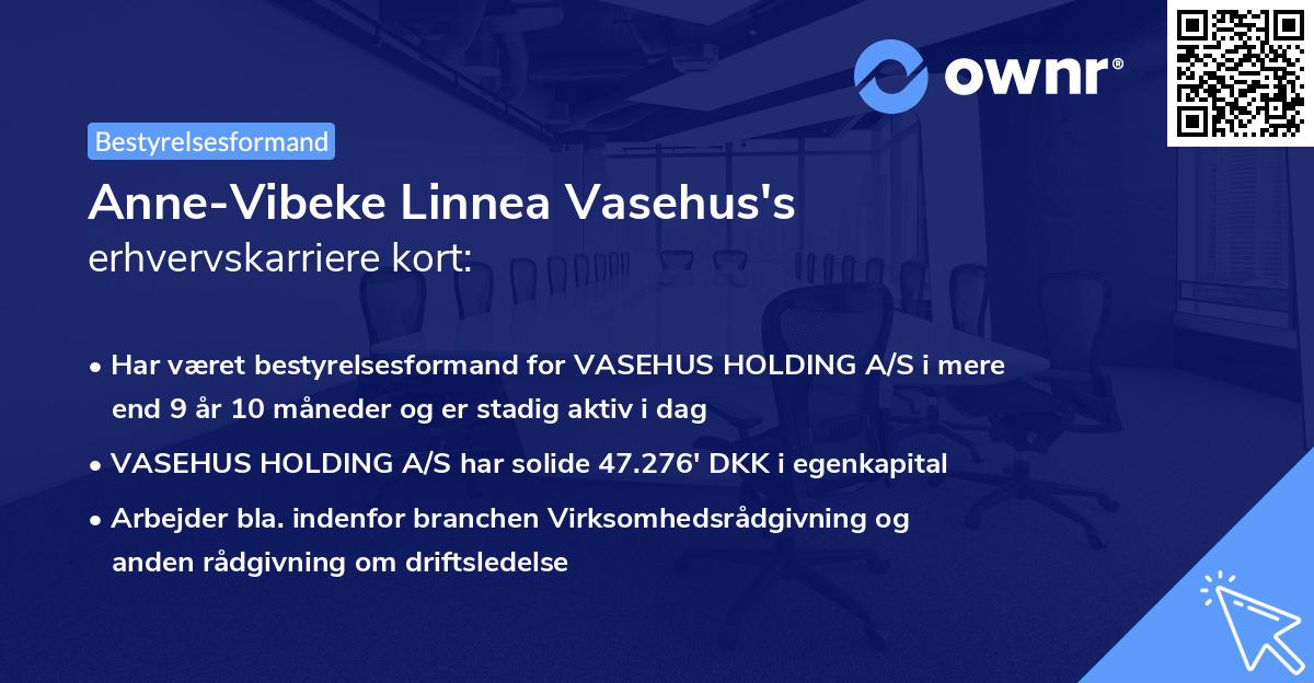 Anne-Vibeke Linnea Vasehus's erhvervskarriere kort