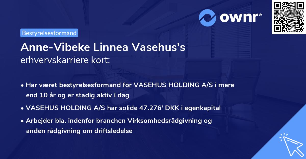 Anne-Vibeke Linnea Vasehus's erhvervskarriere kort