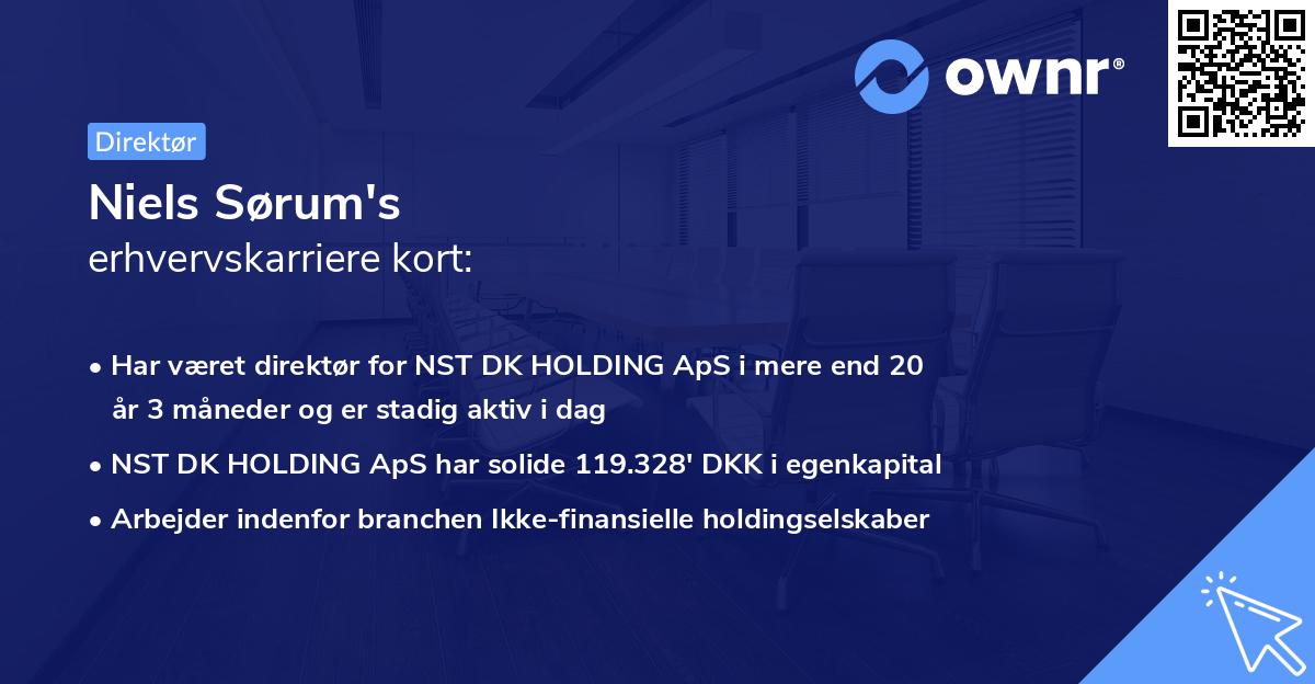 Niels Sørum's erhvervskarriere kort