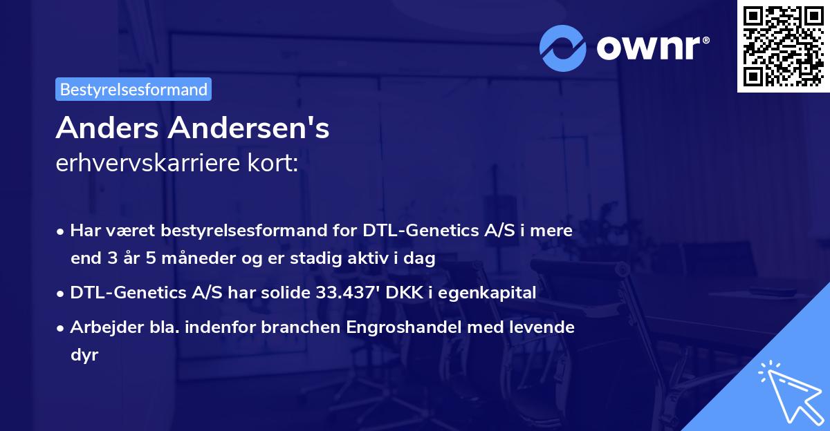 Anders Andersen's erhvervskarriere kort