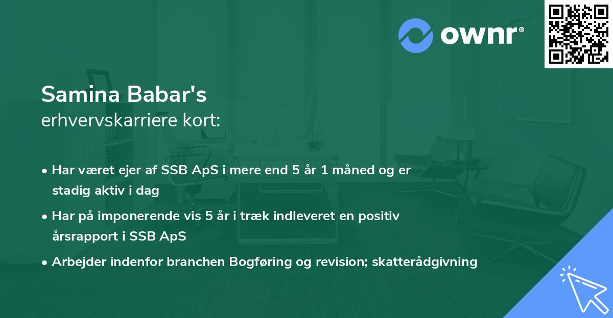 Samina Babar's erhvervskarriere kort