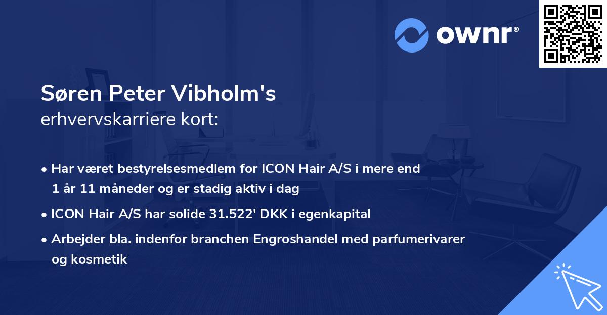 Søren Peter Vibholm's erhvervskarriere kort