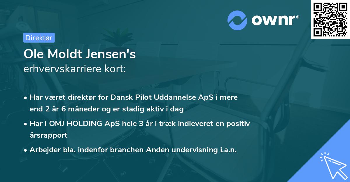 Ole Moldt Jensen's erhvervskarriere kort