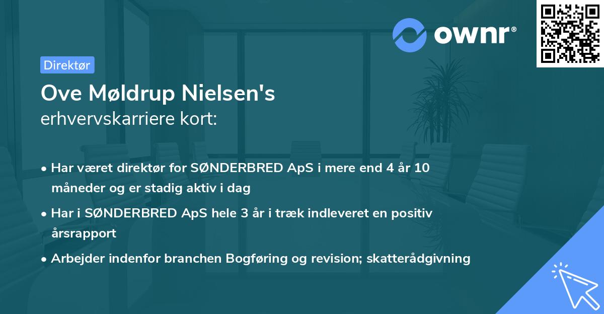 Ove Møldrup Nielsen's erhvervskarriere kort