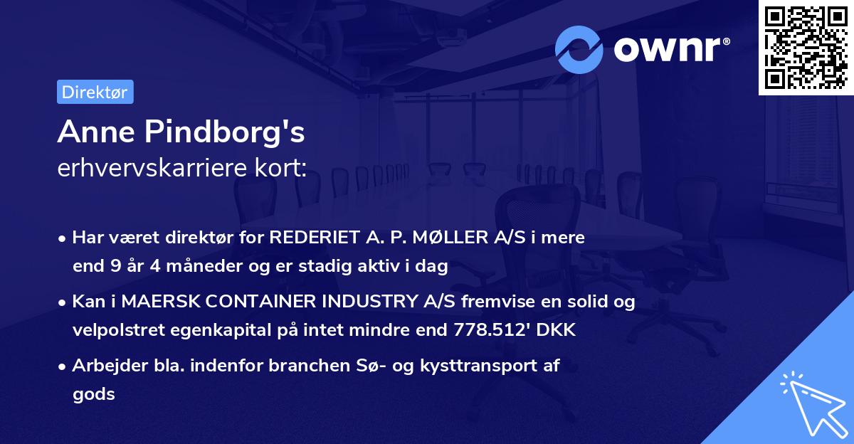 Anne Pindborg's erhvervskarriere kort