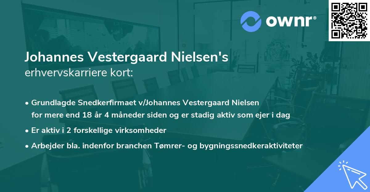 Johannes Vestergaard Nielsen's erhvervskarriere kort
