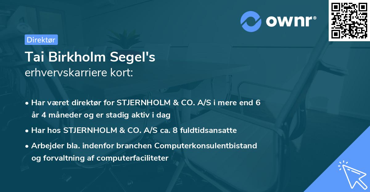 Tai Birkholm Segel's erhvervskarriere kort