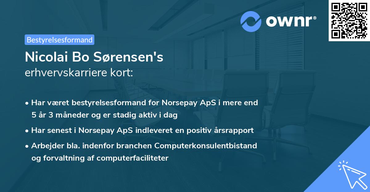 Nicolai Bo Sørensen's erhvervskarriere kort