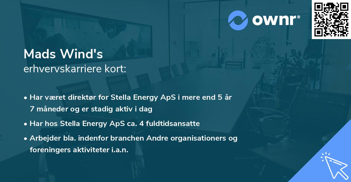 Mads Wind's erhvervskarriere kort