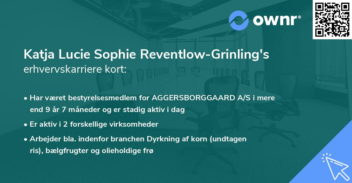 Katja Lucie Sophie Reventlow-Grinling's erhvervskarriere kort