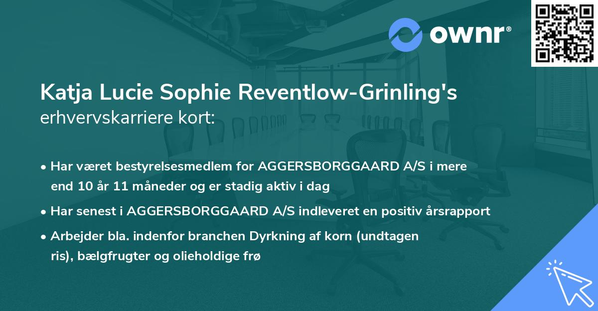 Katja Lucie Sophie Reventlow-Grinling's erhvervskarriere kort