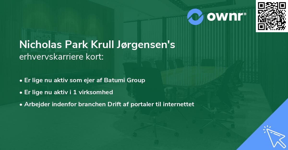 Nicholas Park Krull Jørgensen's erhvervskarriere kort