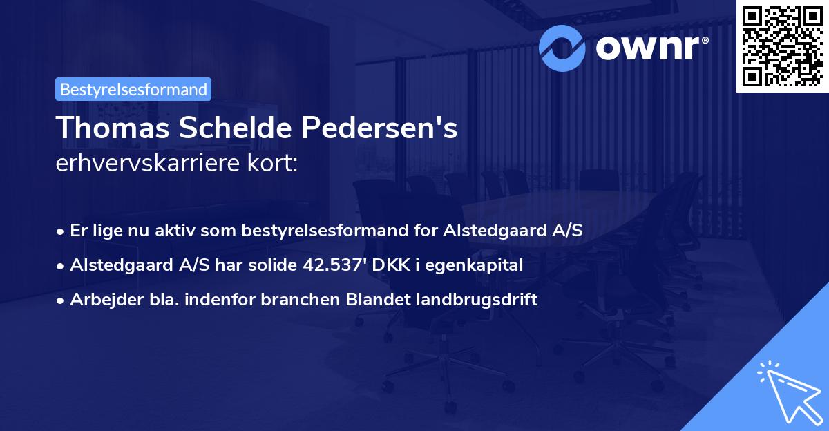 Thomas Schelde Pedersen's erhvervskarriere kort