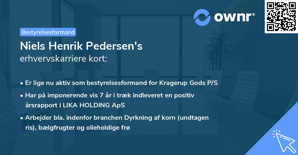 Niels Henrik Pedersen's erhvervskarriere kort