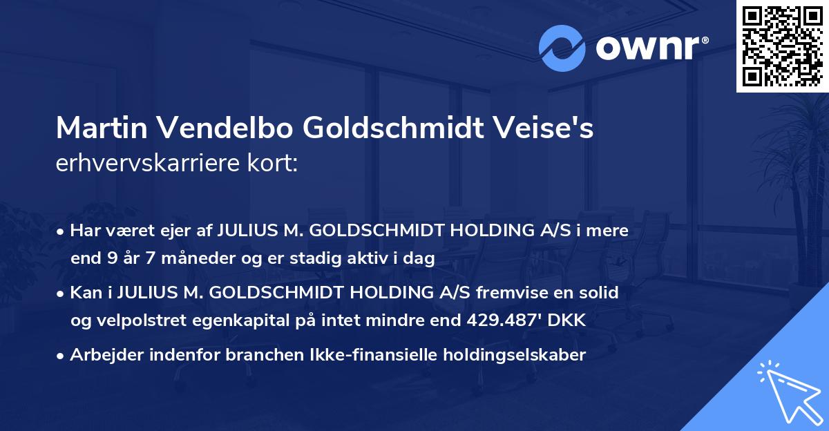 Martin Vendelbo Goldschmidt Veise's erhvervskarriere kort