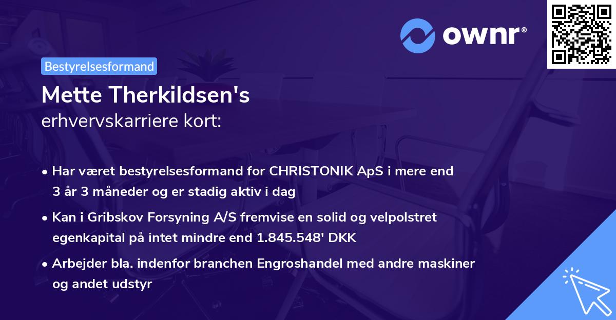 Mette Therkildsen's erhvervskarriere kort