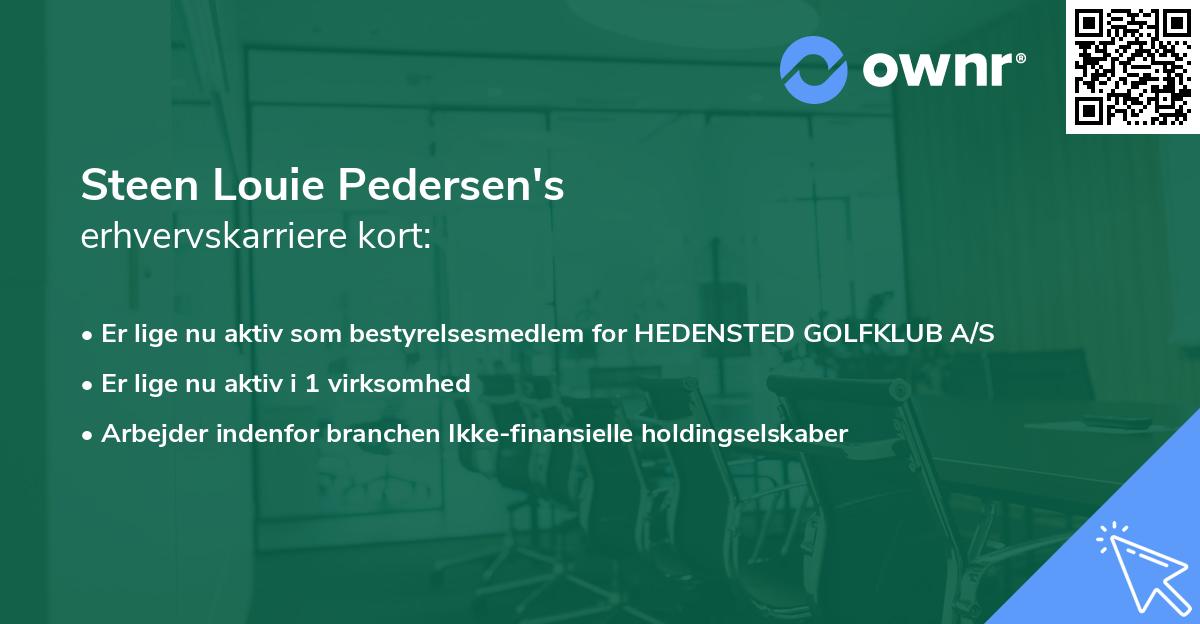 Steen Louie Pedersen's erhvervskarriere kort