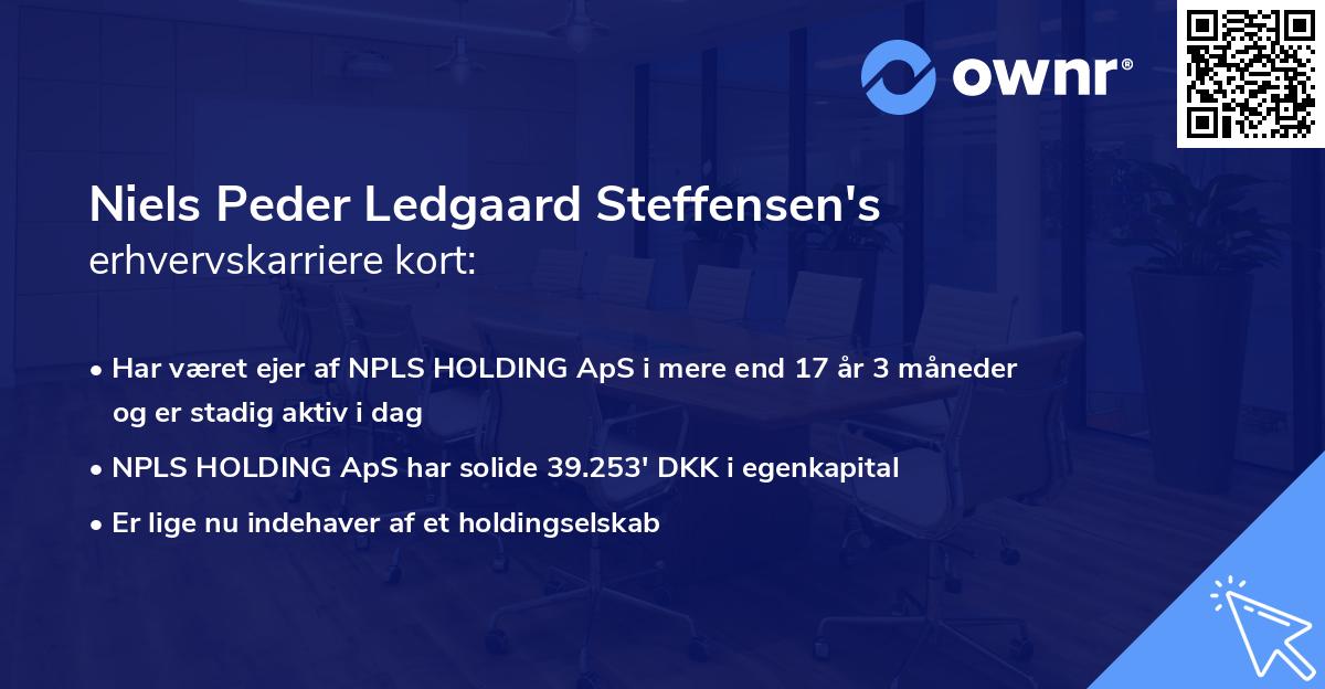 Niels Peder Ledgaard Steffensen's erhvervskarriere kort