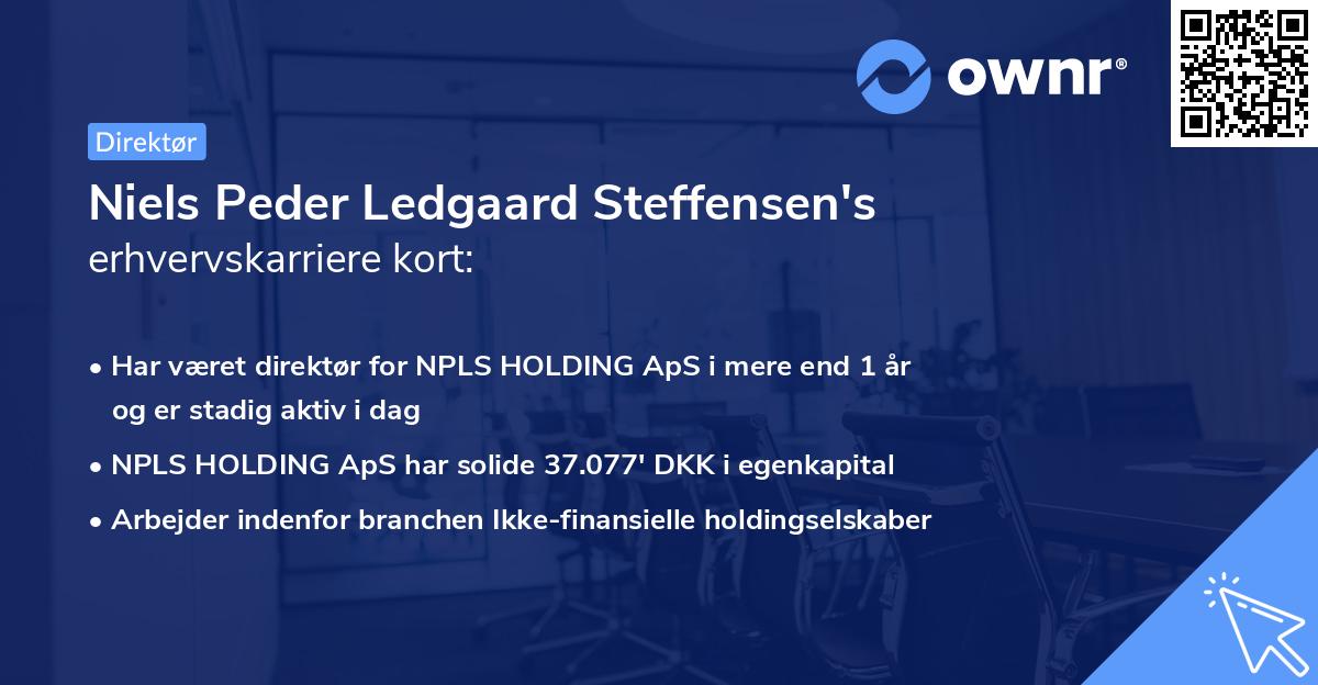 Niels Peder Ledgaard Steffensen's erhvervskarriere kort