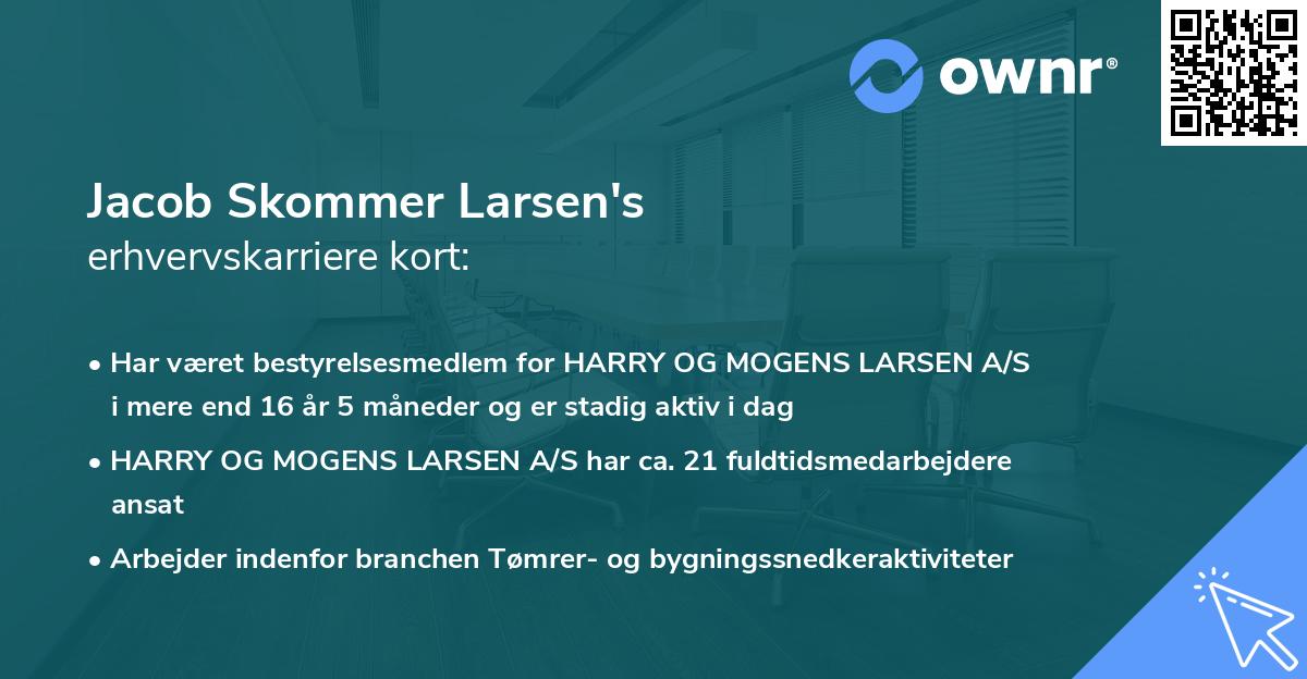 Jacob Skommer Larsen's erhvervskarriere kort