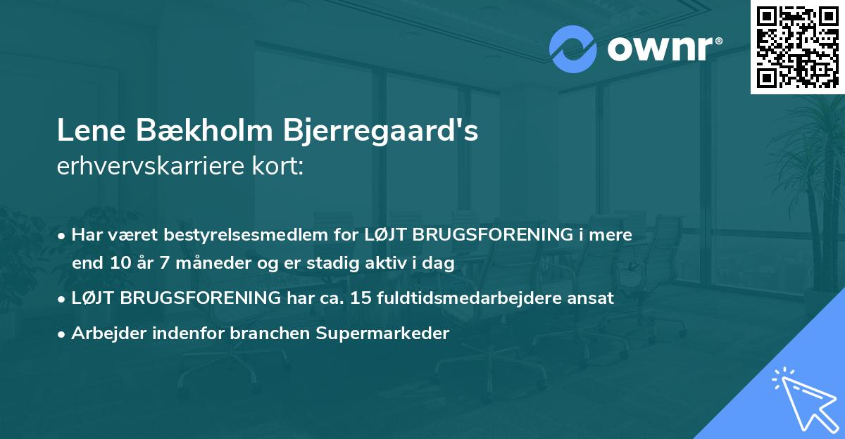 Lene Bækholm Bjerregaard's erhvervskarriere kort