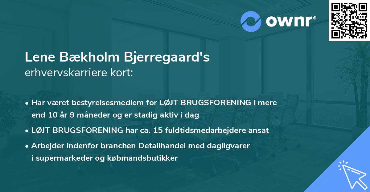 Lene Bækholm Bjerregaard's erhvervskarriere kort