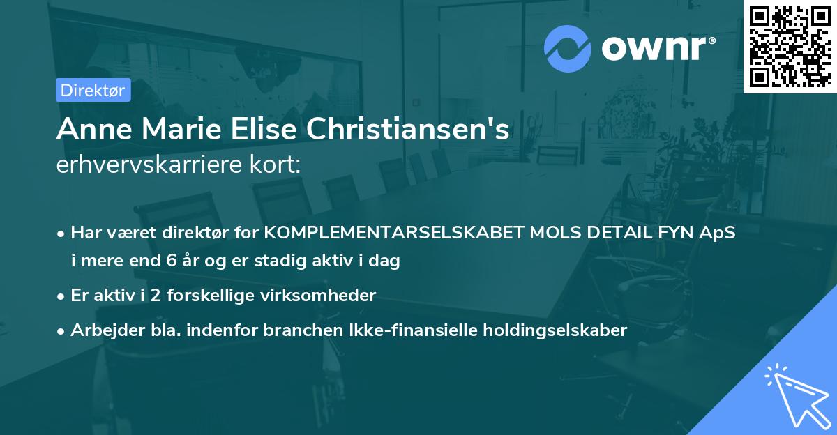 Anne Marie Elise Christiansen's erhvervskarriere kort