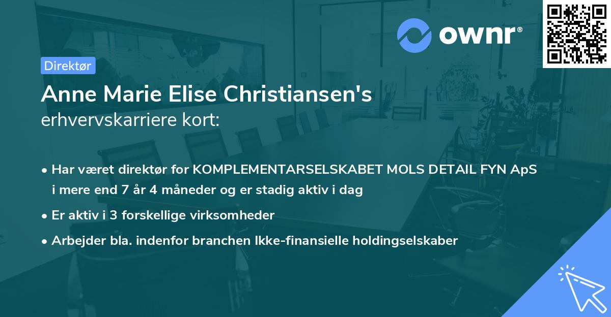 Anne Marie Elise Christiansen's erhvervskarriere kort