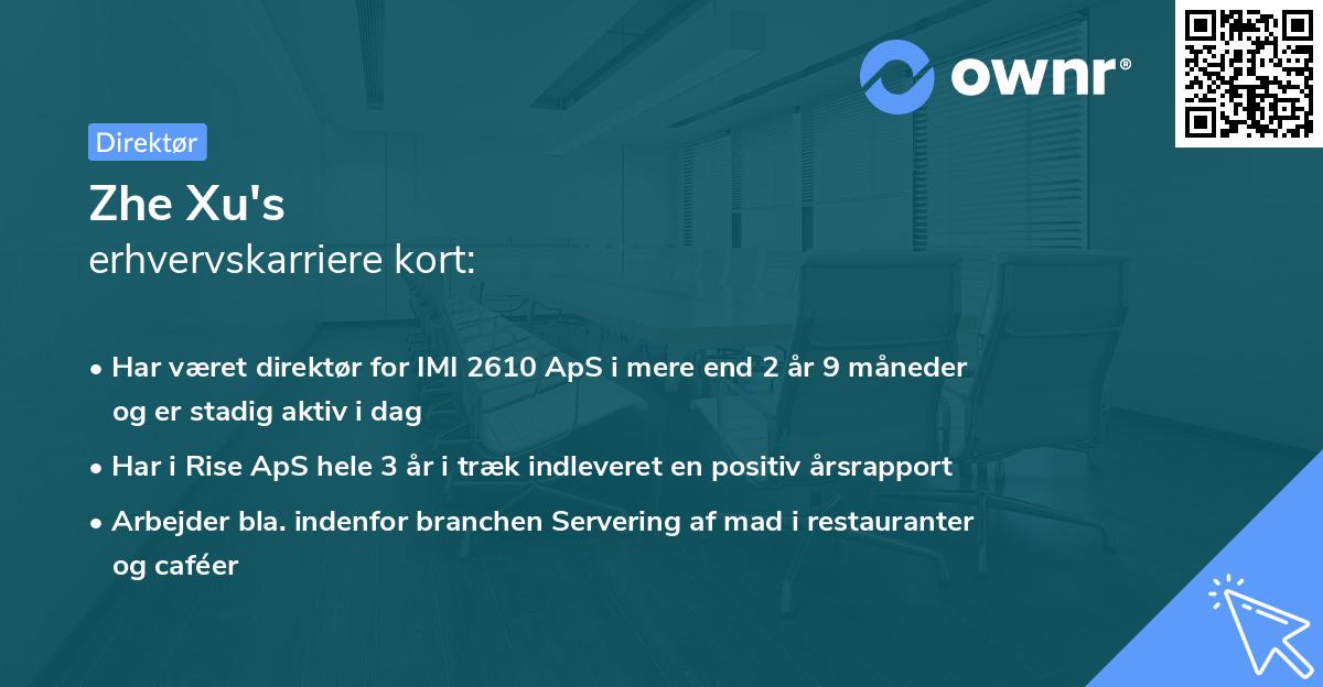 Zhe Xu's erhvervskarriere kort