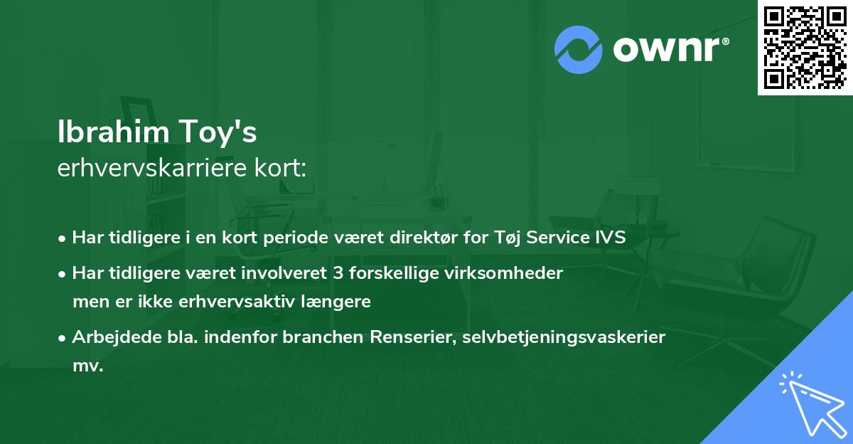 Ibrahim Toy's erhvervskarriere kort