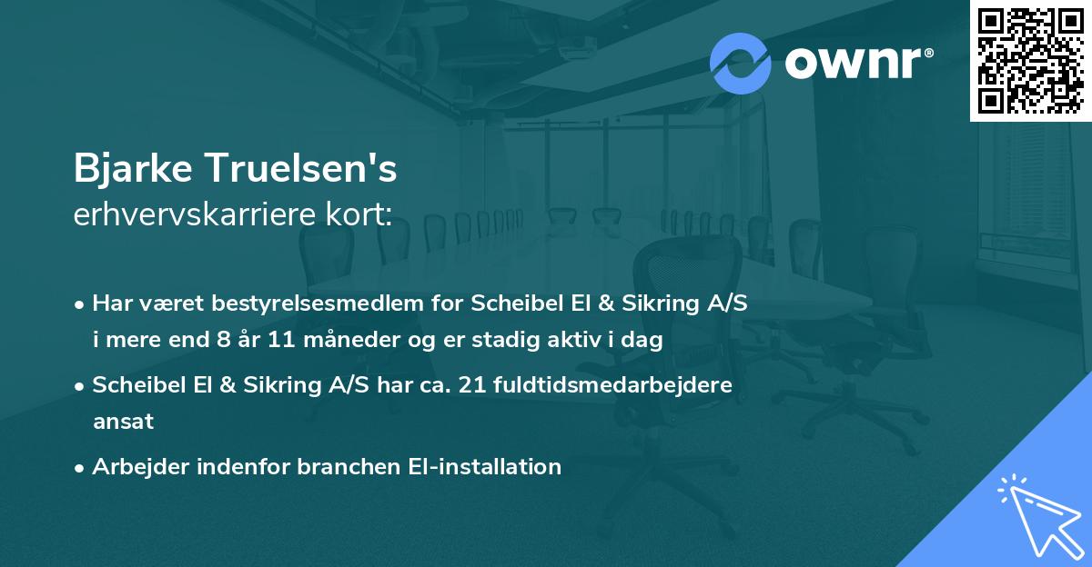 Bjarke Truelsen's erhvervskarriere kort