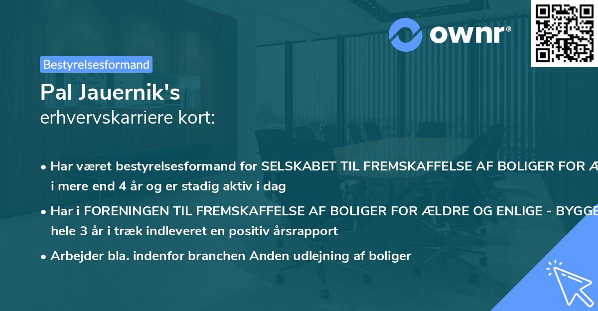 Pal Jauernik's erhvervskarriere kort