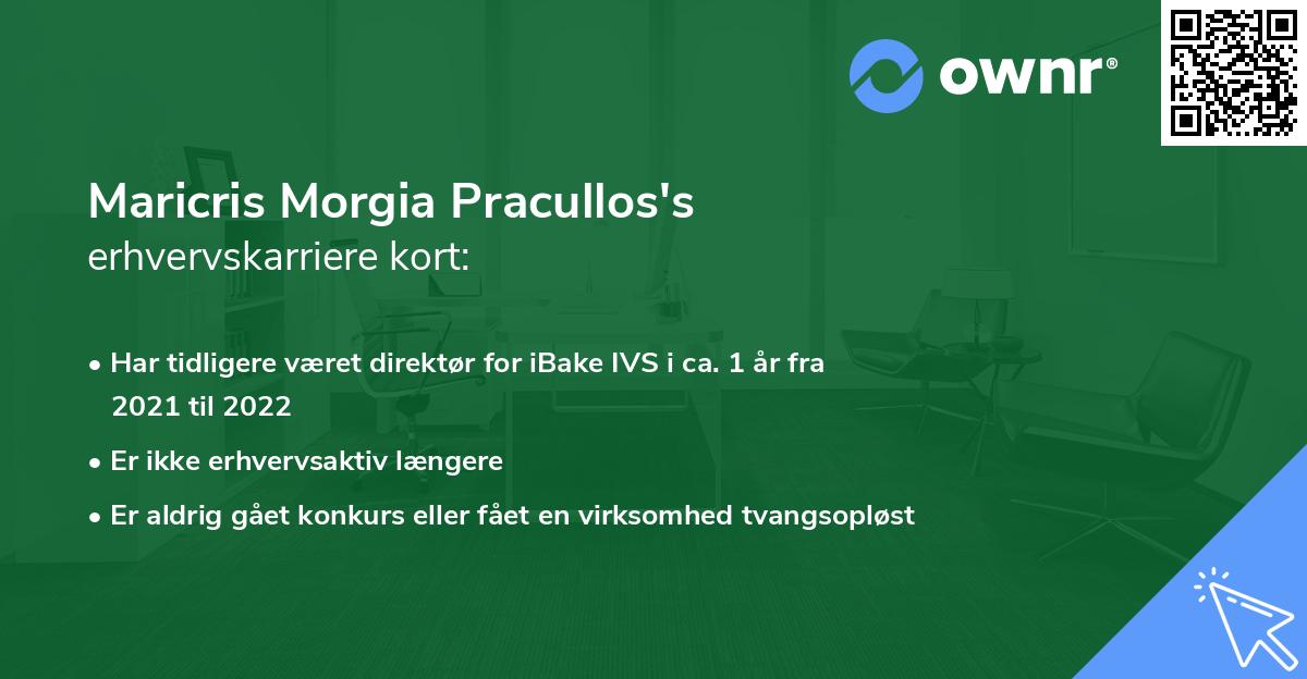 Maricris Morgia Pracullos's erhvervskarriere kort