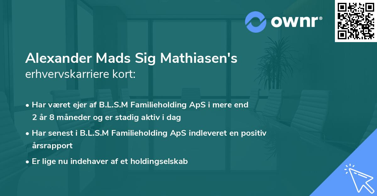 Alexander Mads Sig Mathiasen's erhvervskarriere kort