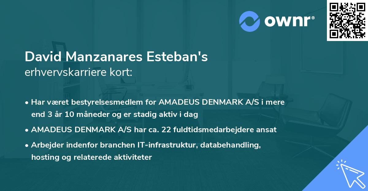 David Manzanares Esteban's erhvervskarriere kort