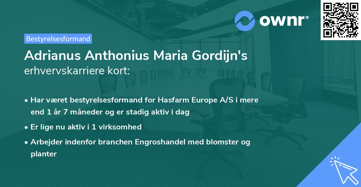 Adrianus Anthonius Maria Gordijn's erhvervskarriere kort