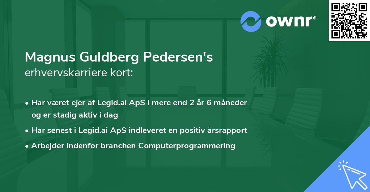 Magnus Guldberg Pedersen's erhvervskarriere kort