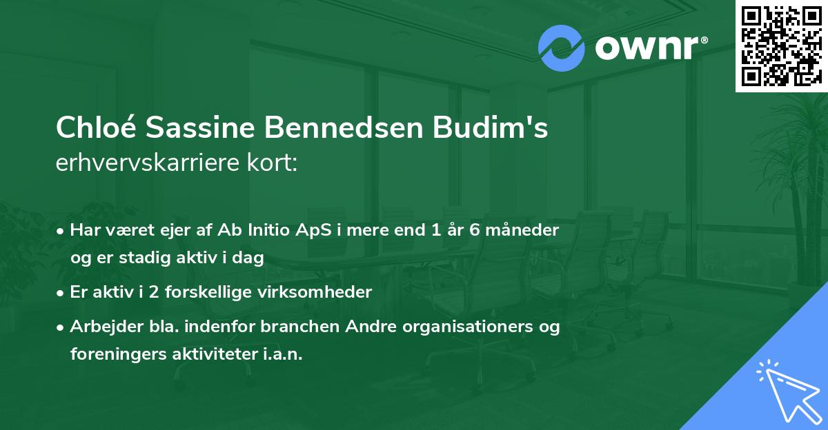 Chloé Sassine Bennedsen Budim's erhvervskarriere kort