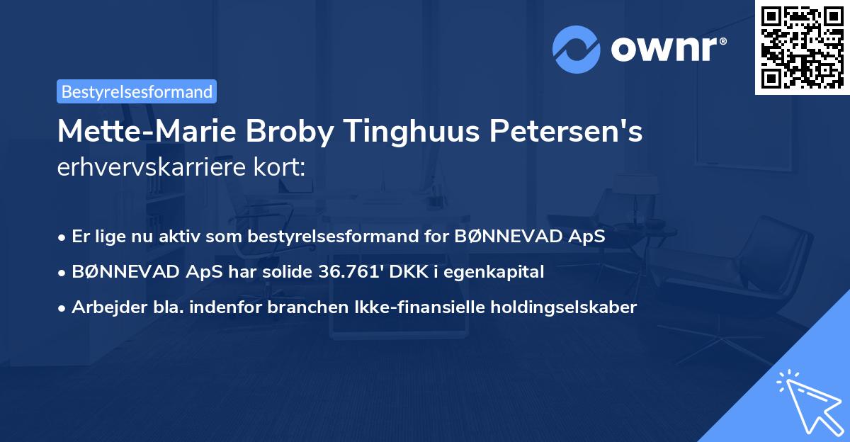 Mette-Marie Broby Tinghuus Petersen's erhvervskarriere kort