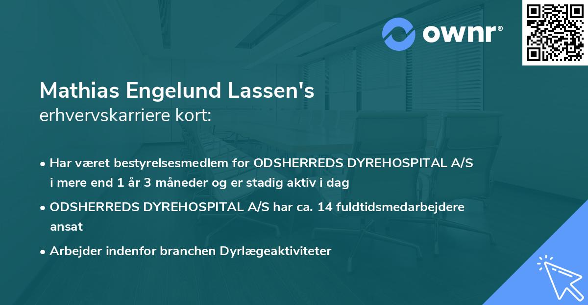 Mathias Engelund Lassen's erhvervskarriere kort