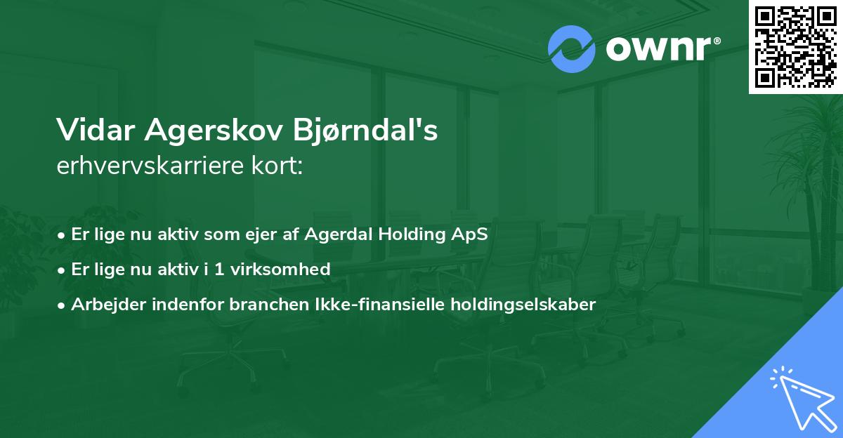 Vidar Agerskov Bjørndal's erhvervskarriere kort