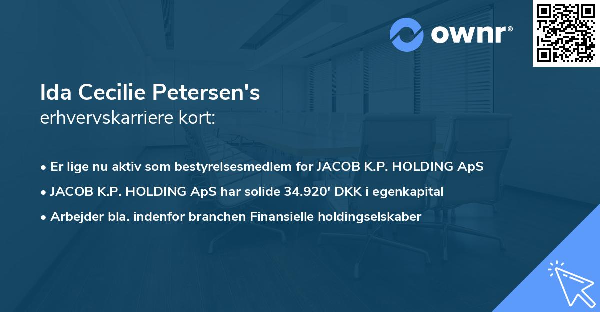 Ida Cecilie Petersen's erhvervskarriere kort