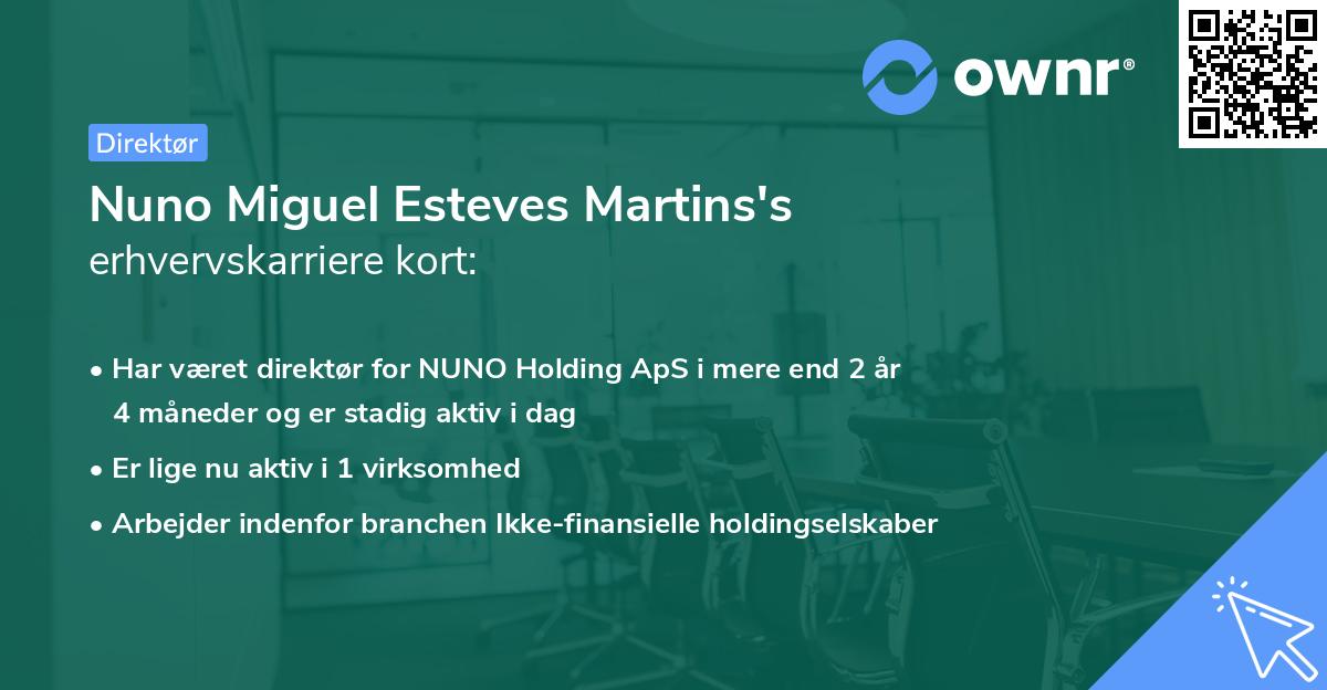 Nuno Miguel Esteves Martins's erhvervskarriere kort