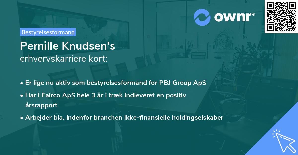 Pernille Knudsen's erhvervskarriere kort