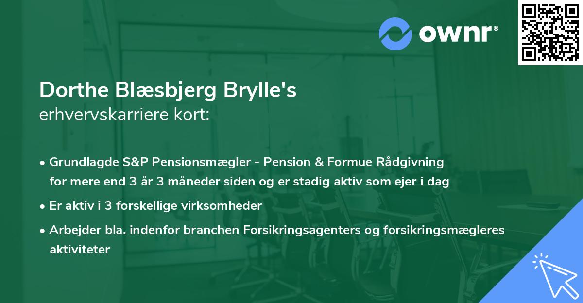 Dorthe Blæsbjerg Brylle's erhvervskarriere kort