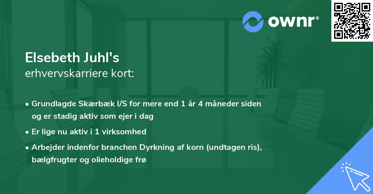 Elsebeth Juhl's erhvervskarriere kort