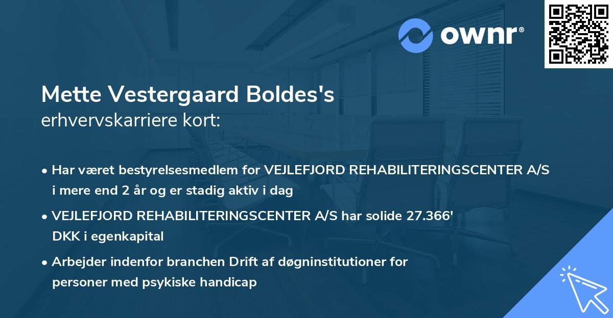 Mette Vestergaard Boldes's erhvervskarriere kort