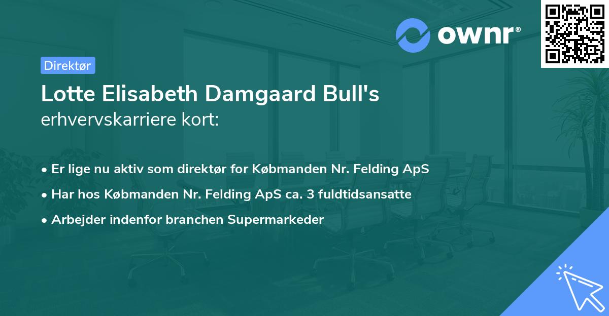 Lotte Elisabeth Damgaard Bull's erhvervskarriere kort